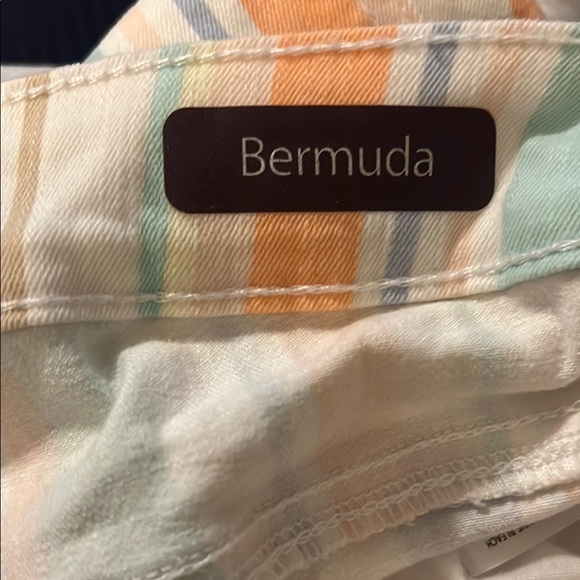 Striped Multicolor Womens Shorts - Picture 4 of 4